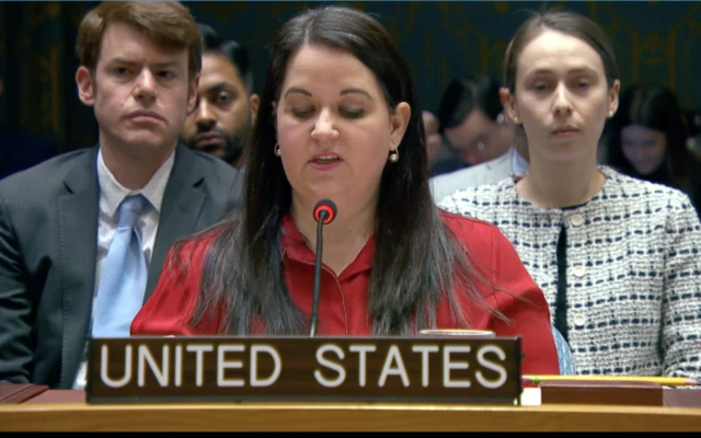 نماینده آمریکا در شورای امینت سازمان ملل