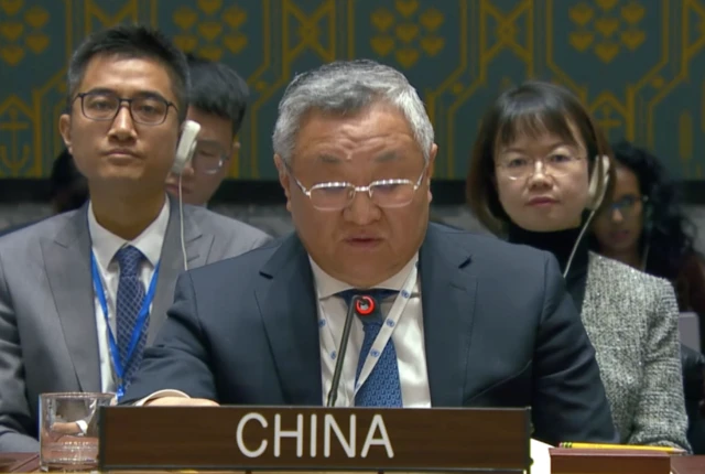 نماینده چین