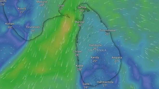 වැසි තත්ත්වය