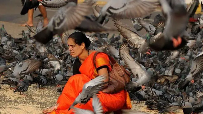 या फोटोत कबुतरांना धान्य टाकताना एक महिला दिसत आहे.