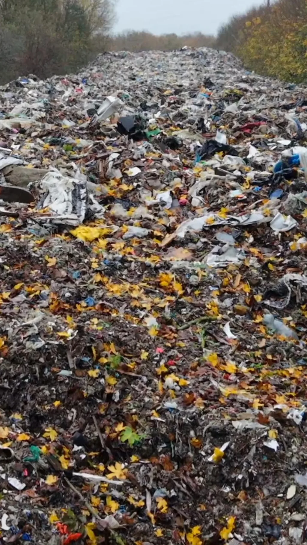 युकेत रस्त्याशेजारी केराची टेकडी, कुणी आणून फेकला इतका कचरा?