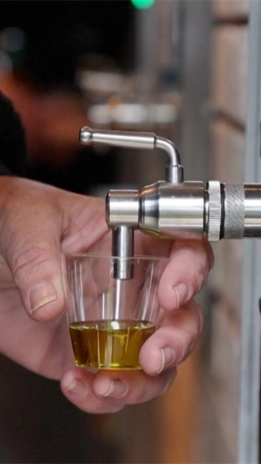 U selu Mareziga otvorena je fontana iz koje teče maslinovo ulje domaće proizvodnje.