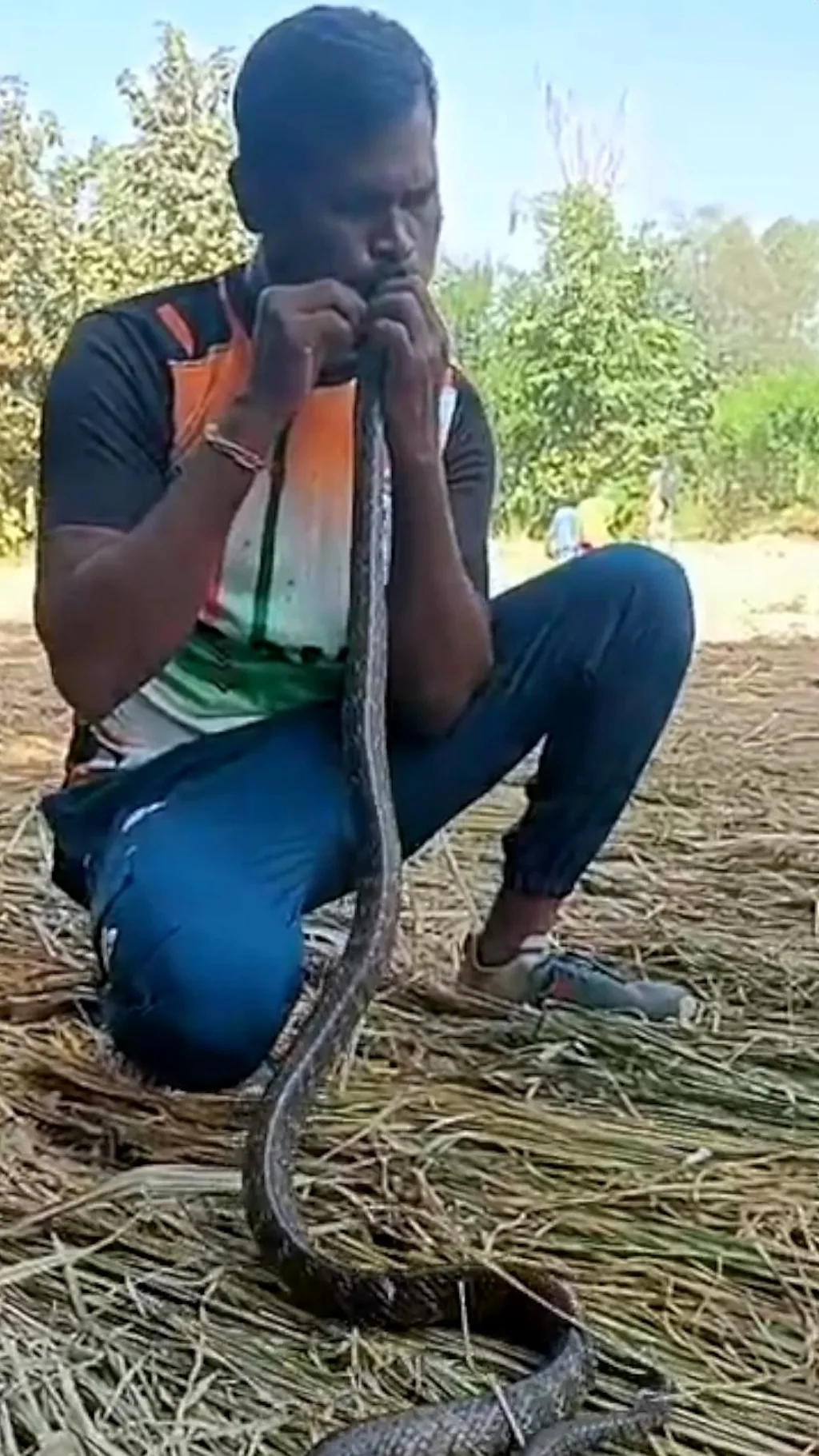 વલસાડમાં સાપને મોઢેથી શ્વાસ આપીને કેવી રીતે બચાવાયો?