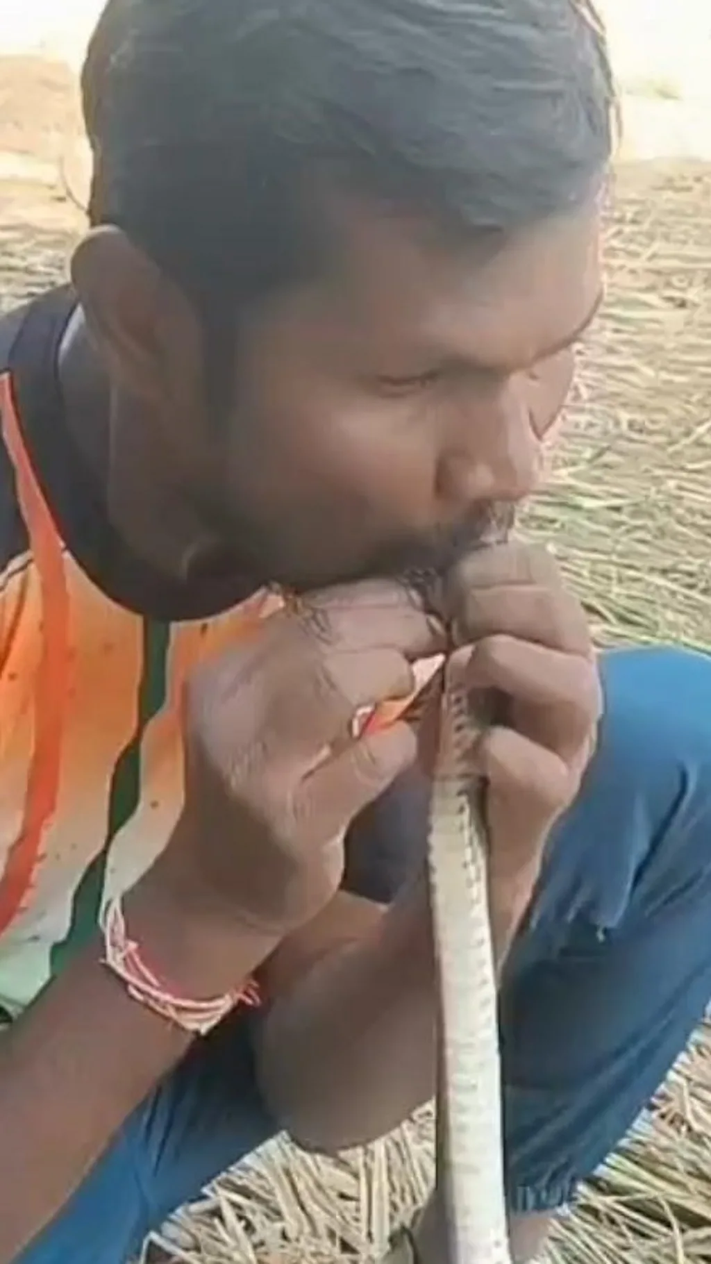 பாம்புக்கு சிபிஆர் கொடுத்து காப்பாற்றிய இளைஞர்