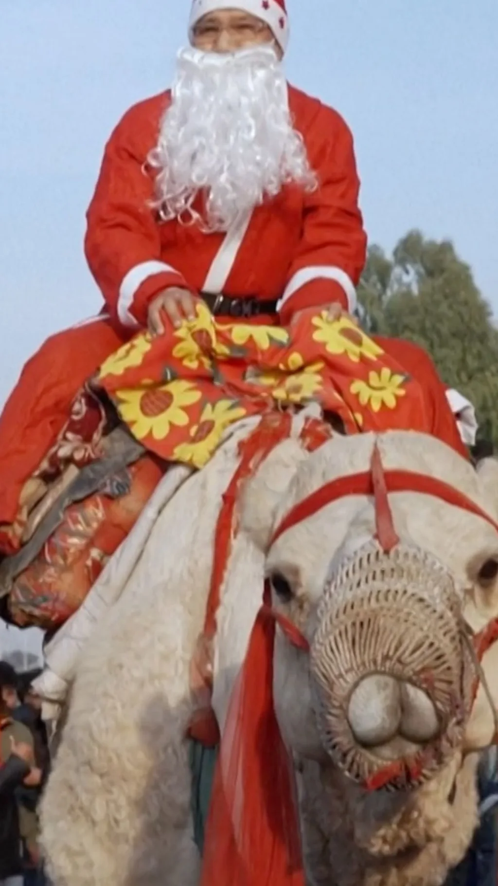 पाकिस्तान की सड़कों पर दिखी 'सैंटा क्लॉस' की ये सवारी