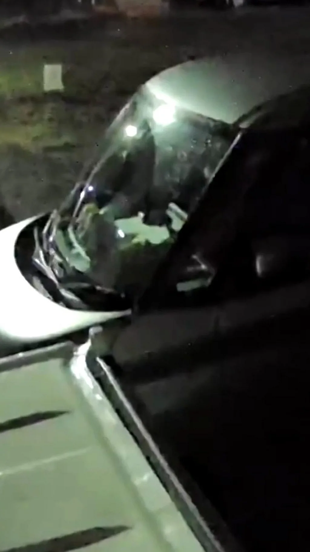 जपान भूकंप इतका शक्तिशाली की इमारती, कार, बोटीही थरथरल्या