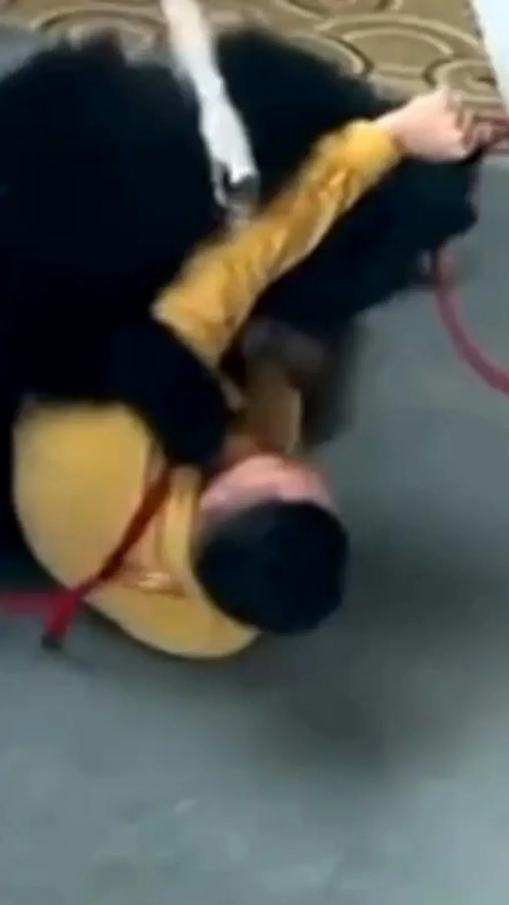 લાઇવ શોમાં રીંછે ગાર્ડ પર હુમલો કર્યો, તેનો જીવ કેવી રીતે બચ્યો?