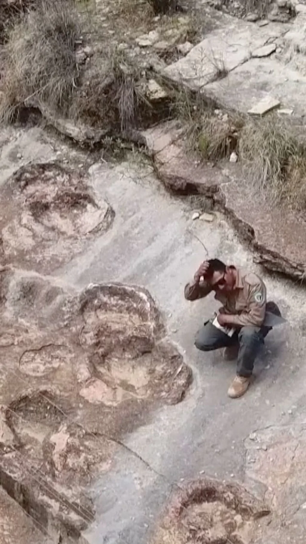 डाइनसोरका पाइलाका डोब