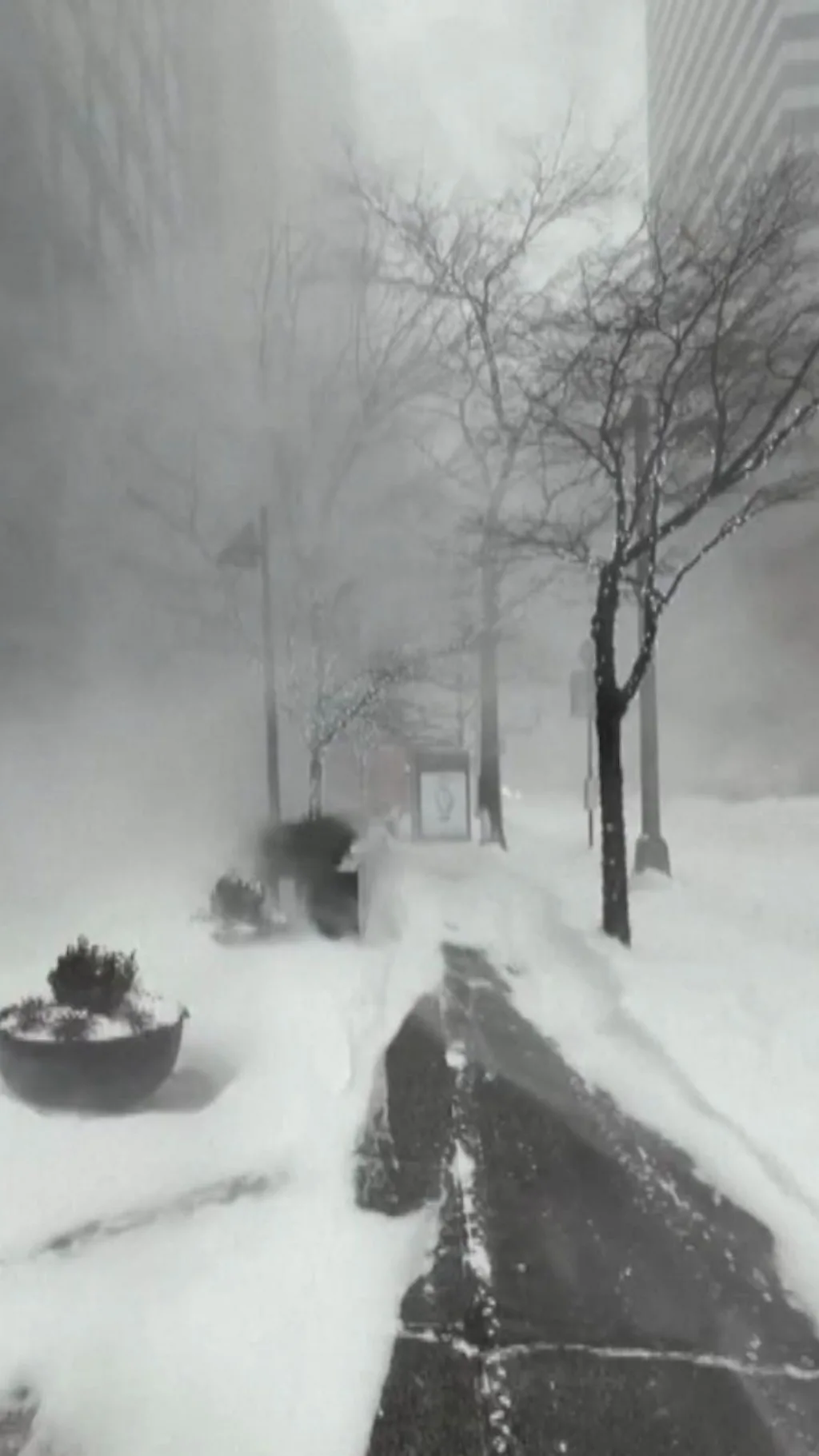 หิมะ สหรัฐฯ