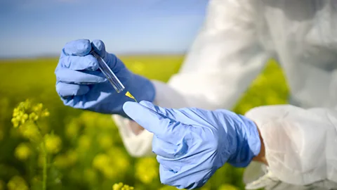 Building the world’s largest biological database