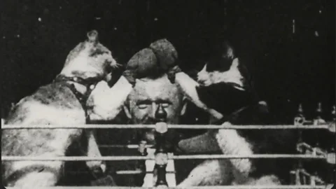 What do Tik Tok and 19th century film have in common?