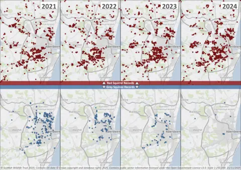 Maps of Aberdeen showing dots representing red squirrels and grey squirrels, they show the red population has strengthened in recent years, with greys in decline.