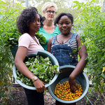 都市農場夢，只屬於女人嗎？