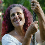 美國釘子戶：嬉皮奶奶的樹屋保衛戰