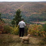 加拿大小島招人妙招：來工作就送地