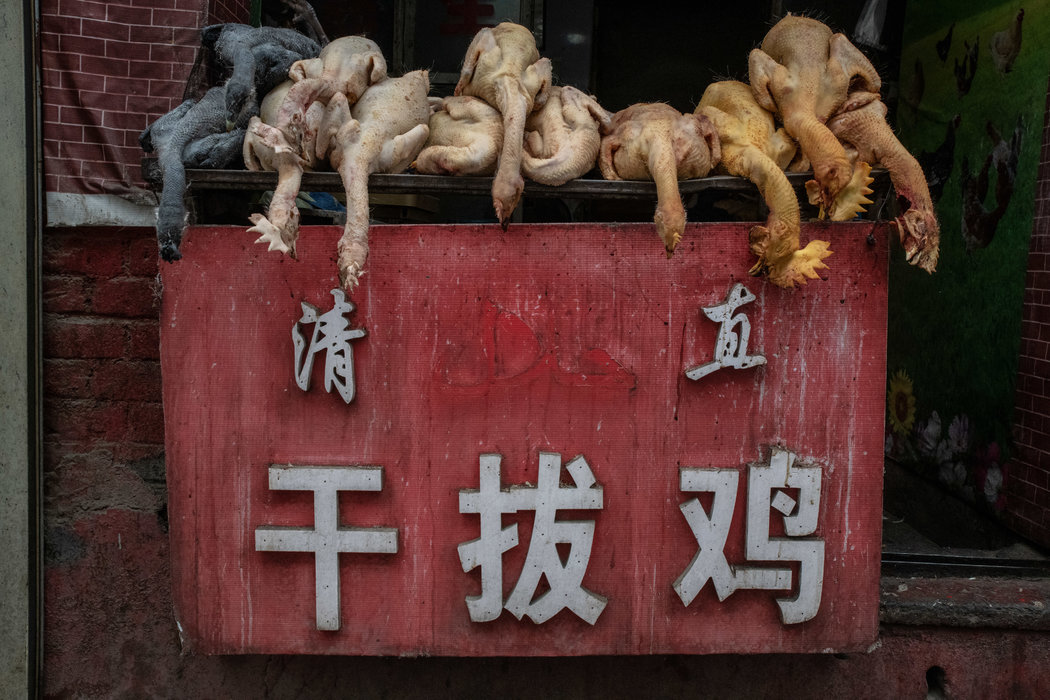 在临夏的一家家禽店,招牌上去掉了“清真”二字的阿拉伯文。