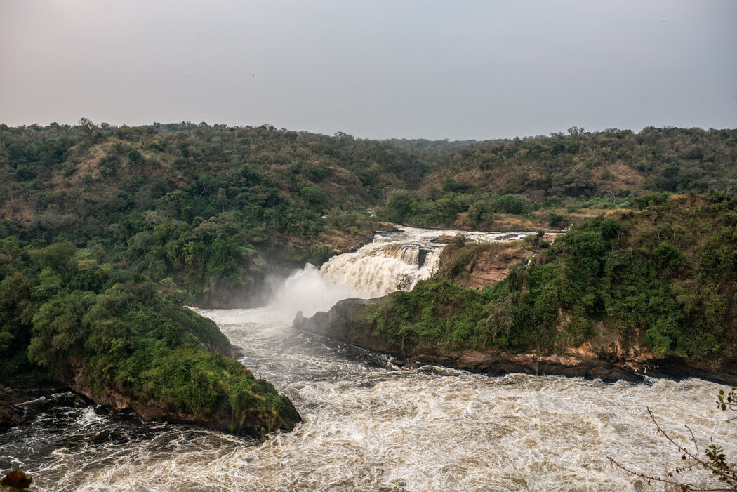 默奇森瀑布的頂部,尼羅河咆哮著穿過狹窄的峽谷,形成世界上最大的瀑布之一。