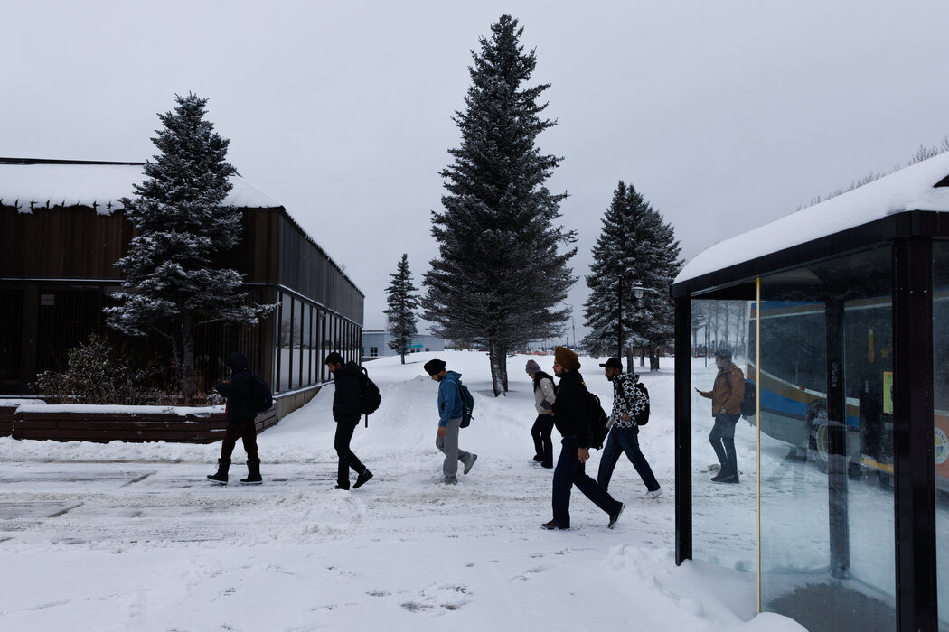 從安大略省蒂明斯市中心坐班車前往當地的北方學院校園的學生們。近年來,隨著國內招生人數的減少,該學院招來的外國學生數量顯著增加,其中大部分來自印度。