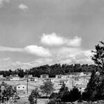 川普如何毀掉美國80年的偉大遺產