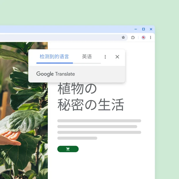 网站上显示了一些植物,以及翻译后的文字:“The secret life of plants”(植物的秘密生命)