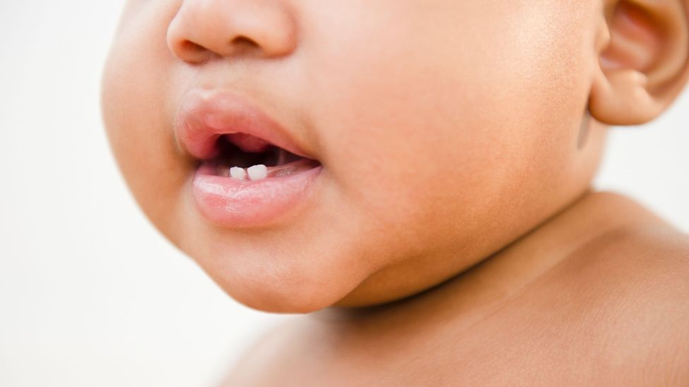 A close-up of a baby's half-open mouth (Credit: Getty Images) A close-up of a baby's half-open mouth (Credit: Getty Images)